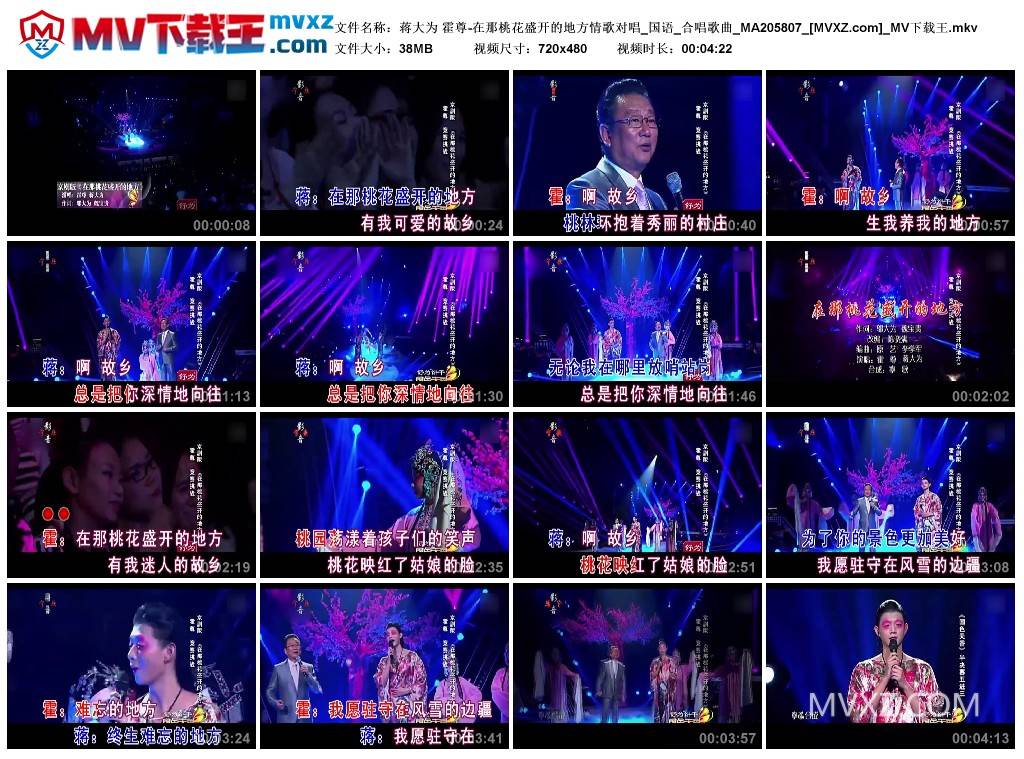 蒋大为 霍尊-在那桃花盛开的地方情歌对唱_国语_合唱歌曲_MA205807